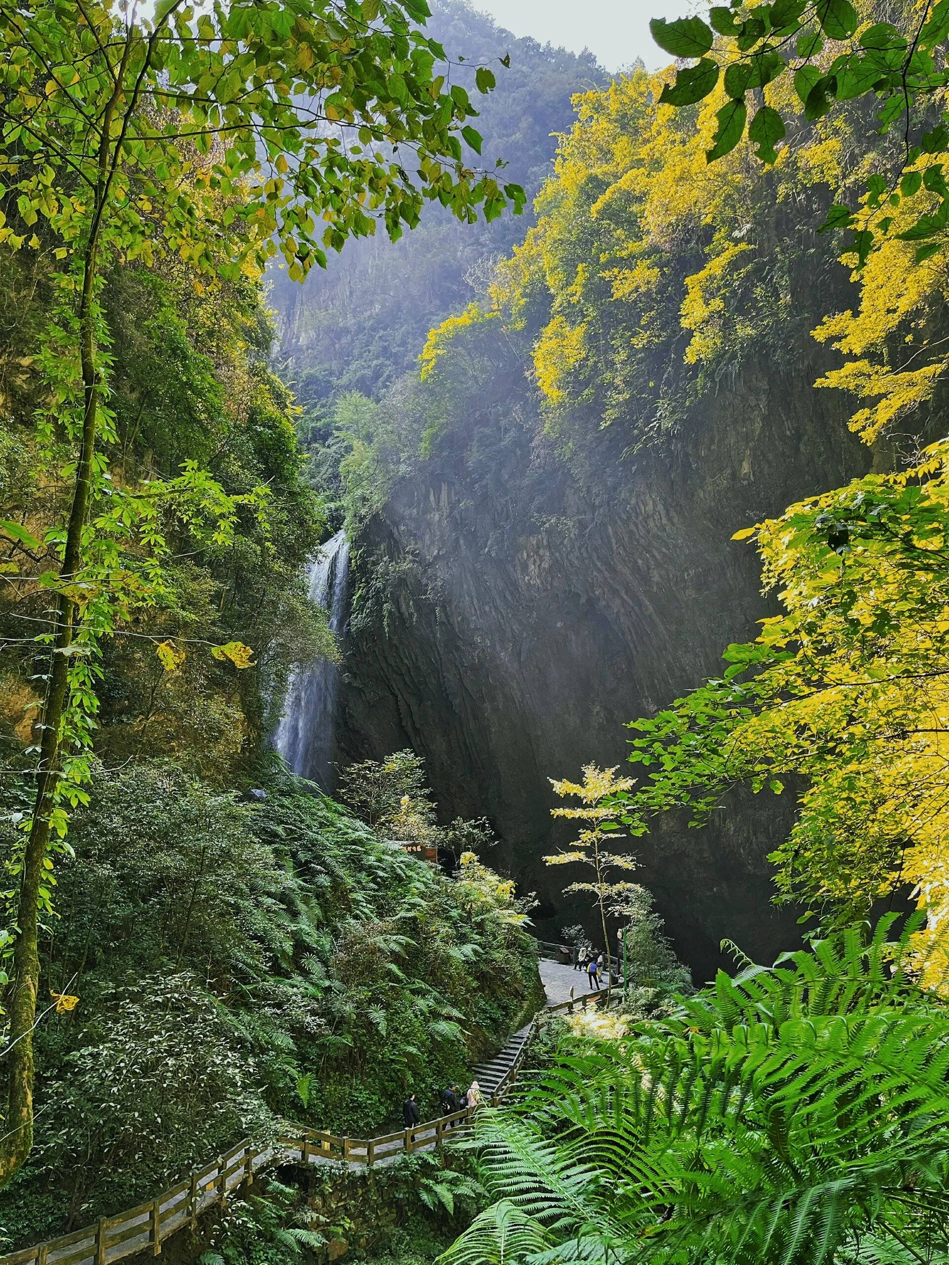 天三晚攻略去重庆旅游结伴游费用球盟会入口公司团建去重庆旅游四(图3)